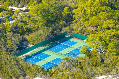 1279 Avocet Ln, Saint George Island, FL 32328 - Photo 34