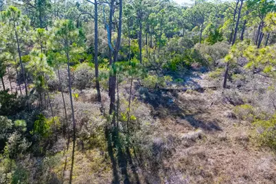 1279 Avocet Ln, Saint George Island, FL 32328 - Photo 6