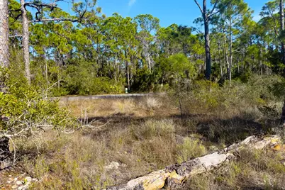 1279 Avocet Ln, Saint George Island, FL 32328 - Photo 16