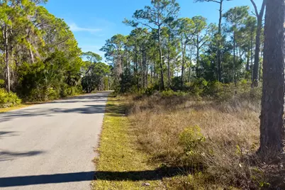 1279 Avocet Ln, Saint George Island, FL 32328 - Photo 12