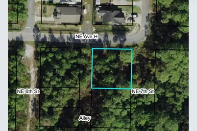 711 NE Ave H, Carrabelle, FL 32322 - Photo 4