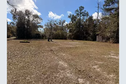 295 S Squirrel Ave, Wewahitchka, FL 32465 - Photo 8