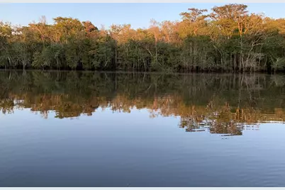 295 S Squirrel Ave, Wewahitchka, FL 32465 - Photo 6