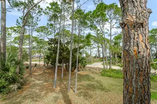 300 Cook St, Saint George Island, FL 32328 - Photo 42