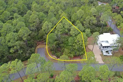 160 Bunkhouse Dr, Saint Teresa, FL 32358 - Photo 6