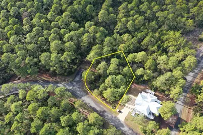 160 Bunkhouse Dr, Saint Teresa, FL 32358 - Photo 38