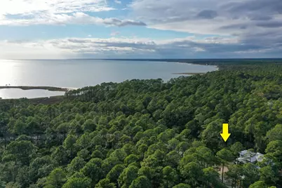 160 Bunkhouse Dr, Saint Teresa, FL 32358 - Photo 10