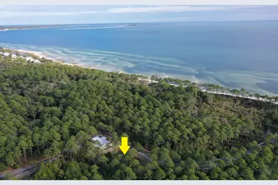 160 Bunkhouse Dr, Saint Teresa, FL 32358 - Photo 36