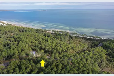 160 Bunkhouse Dr, Saint Teresa, FL 32358 - Photo 34