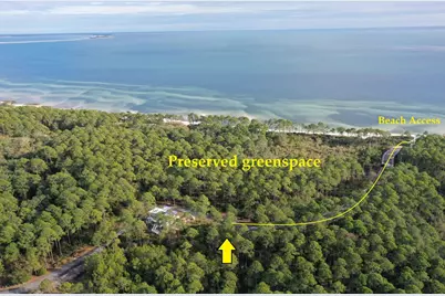 160 Bunkhouse Dr, Saint Teresa, FL 32358 - Photo 32