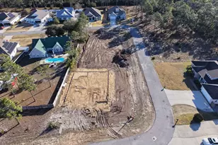 111 Gulf Coast Creek, Port Saint Joe, FL 32456 - Photo 4