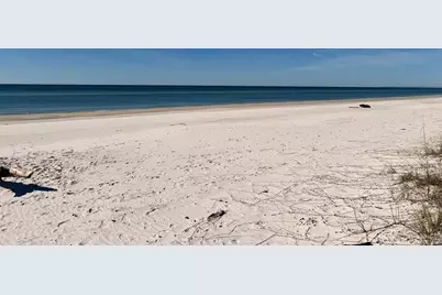 9021 Olive Ave, Port Saint Joe, FL 32456 - Photo 10