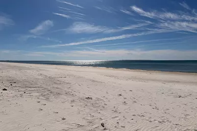 9021 Olive Ave, Port Saint Joe, FL 32456 - Photo 12