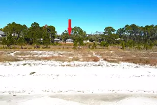 1764 Carrabelle Beach Dr, Carrabelle, FL 32322 - Photo 26