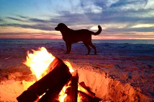 180 Tortuga Trl, Port Saint Joe, FL 32456 - Photo 44