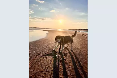 152 McCosh Mill Rd, Port Saint Joe, FL 32456 - Photo 86