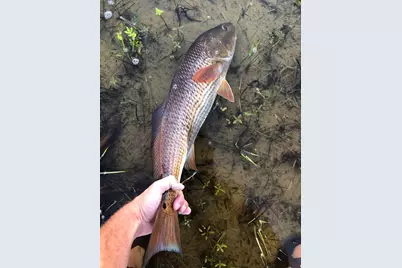 4905 Sr 30-A, Port Saint Joe, FL 32456 - Photo 58