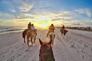 2719 Sr 30-A, Port Saint Joe, FL 32456 - Photo 68