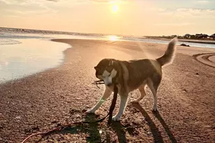 2719 Sr 30-A, Port Saint Joe, FL 32456 - Photo 70