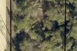 0 Ivydell St, Fountain, FL 32438 - Photo 1