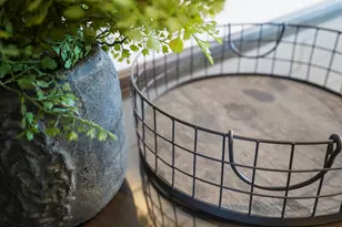 9045 Hwy 98 W, Port Saint Joe, FL 32456 - Photo 54