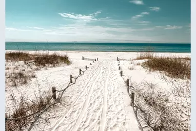 828 Oleander Ave, Mexico Beach, FL 32456 - Photo 6