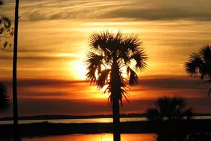 103 Mimosa Ave, Port Saint Joe, FL 32456 - Photo 48