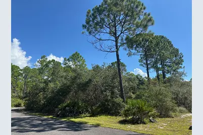 147 Winding Trail Way, Saint Teresa, FL 32358 - Photo 2