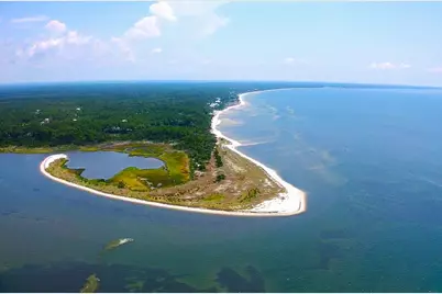 147 Winding Trail Way, Saint Teresa, FL 32358 - Photo 24