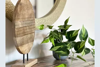 909 Backwater Rd, Port Saint Joe, FL 32456 - Photo 12