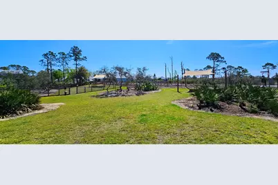 909 Backwater Rd, Port Saint Joe, FL 32456 - Photo 70