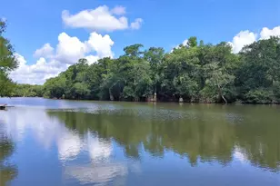 421 Vann Dr, Wewahitchka, FL 32465 - Photo 22