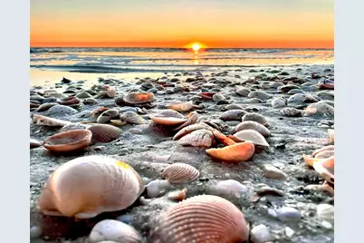 106 25th St, Mexico Beach, FL 32456 - Photo 66