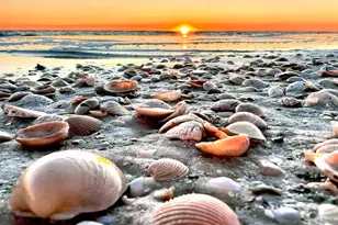 106 25th St, Mexico Beach, FL 32456 - Photo 66