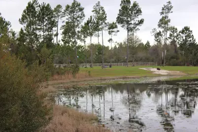 114 Wide Water Cir, Wewahitchka, FL 32465 - Photo 10