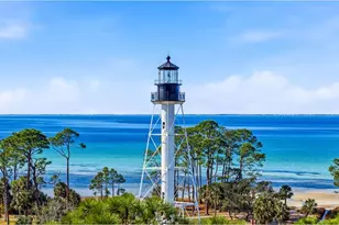 185 Palmetto Blf Trl, Port Saint Joe, FL 32456 - Photo 42