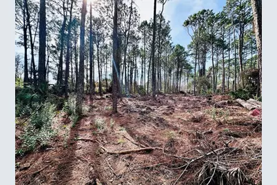 164 Daisey St, Eastpoint, FL 32328 - Photo 2