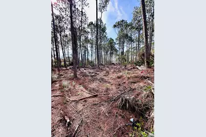 164 Daisey St, Eastpoint, FL 32328 - Photo 6