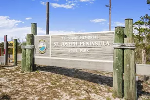 135 Swirly Sun Dr, Cape San Blas, FL 32456 - Photo 50