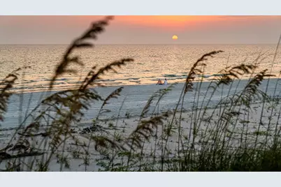 2704 Indian Pass Rd, Cape San Blas, FL 32456 - Photo 22