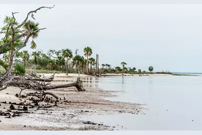 223 Park Point Cir, Cape San Blas, FL 32456 - Photo 14