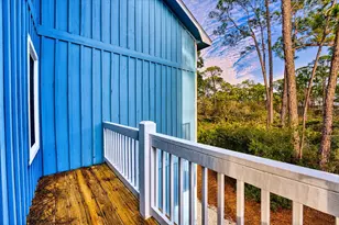 1856 W Suzie Ct, Saint George Island, FL 32328 - Photo 30