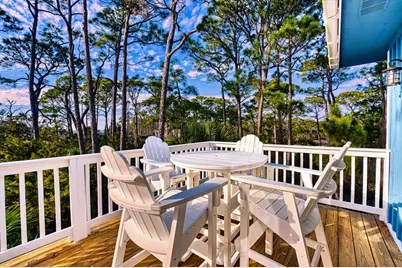 1856 W Suzie Ct, Saint George Island, FL 32328 - Photo 14