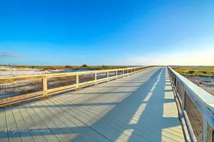 214 Dunes Dr, Mexico Beach, FL 32456 - Photo 90