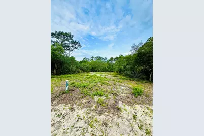 117 Spoonbill Ct, Carrabelle, FL 32323 - Photo 6