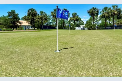 117 Spoonbill Ct, Carrabelle, FL 32323 - Photo 10