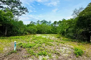 117 Spoonbill Ct, Carrabelle, FL 32323 - Photo 1