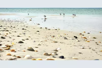 Lot 3 Sandlewood Blvd, Port Saint Joe, FL 32456 - Photo 20