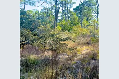 1405 Evodia Ct, Saint George Island, FL 32328 - Photo 4