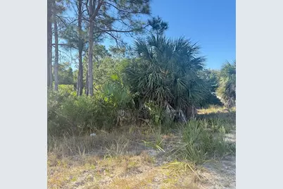 1405 Evodia Ct, Saint George Island, FL 32328 - Photo 6